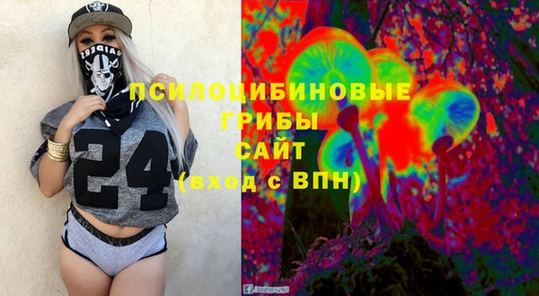 амф Дмитров