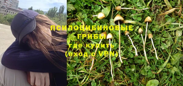 амф Дмитров