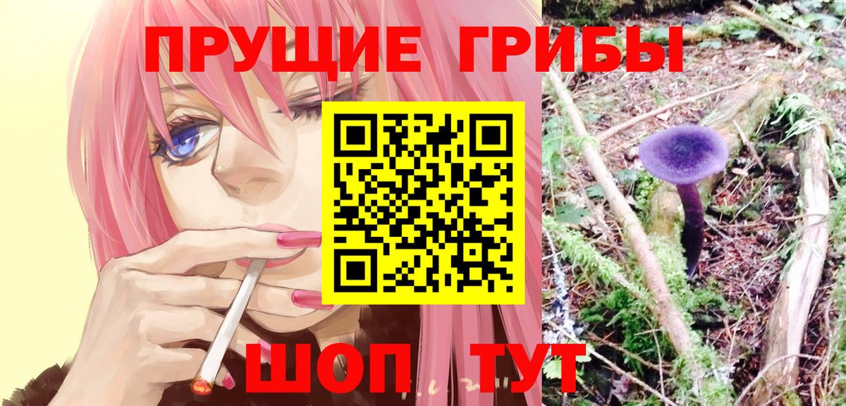 Псилоцибиновые грибы Psilocybe Зерноград