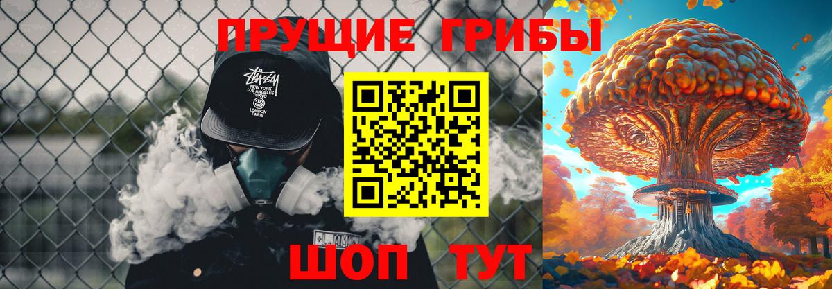 Зерноград  сколько стоит  Вход с VPN  Галлюциногенные грибы Psilocybe 